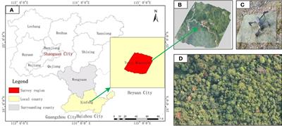 Large field-of-view pine wilt disease tree detection based on improved YOLO v4 model with UAV images